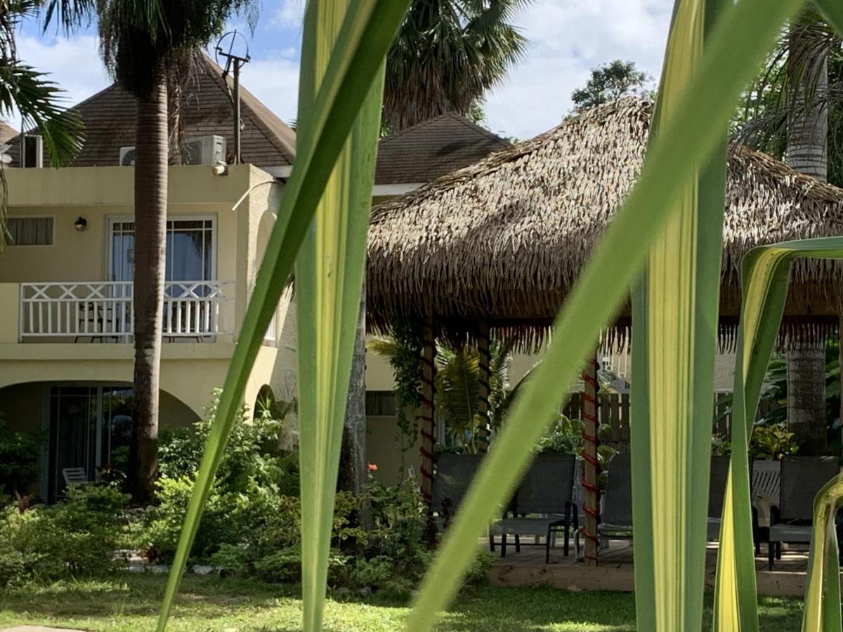 נגריל King Suite At Oceanview Resort In Jamaica - Enjoy 7 Miles Of White Sand Beach! מראה חיצוני תמונה